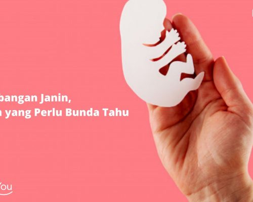 Perkembangan Janin, Tahapan yang Perlu Bunda Tahu