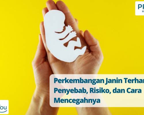 Perkembangan Janin Terhambat, Penyebab, Risiko, dan Cara Mencegahnya