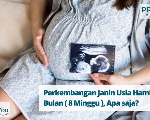 Perkembangan Janin Usia Hamil 2 Bulan ( 8 Minggu ), Apa saja_