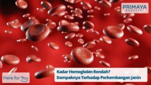 Kadar Hb Rendah: Dampaknya Terhadap Perkembangan Janin