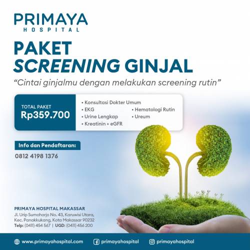 Paket Screening Ginjal Primaya Hospital Makassar