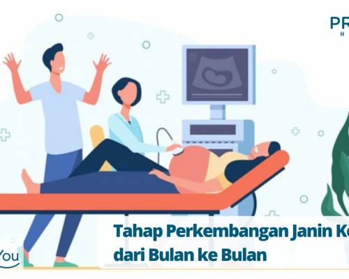 Tahap Perkembangan Janin Kembar dari Bulan ke Bulan