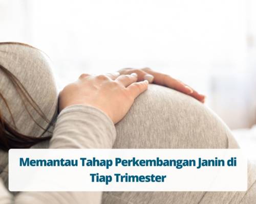 Memantau Tahap Perkembangan Janin di Tiap Trimester