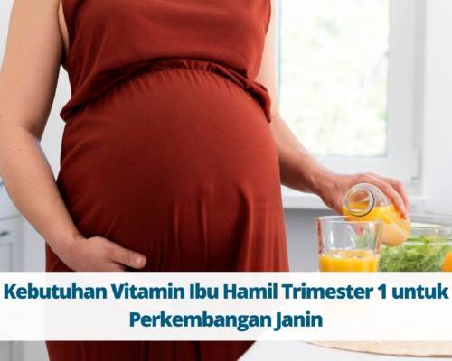 Kebutuhan Vitamin Ibu Hamil Trimester 1 untuk Perkembangan Janin