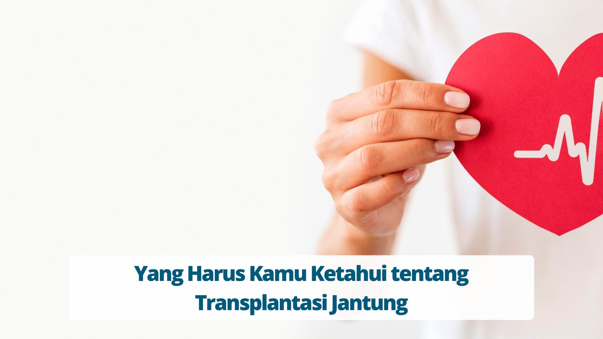 Yang Harus Kamu Ketahui tentang Transplantasi Jantung