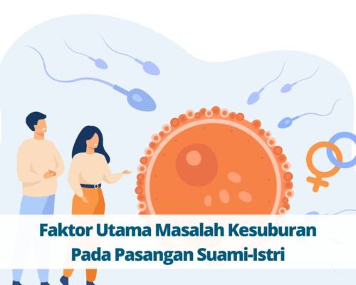 Faktor Utama Masalah Kesuburan Pada Pasangan Suami-Istri