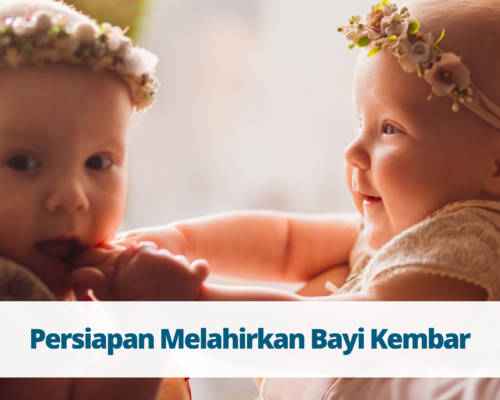 Persiapan Melahirkan Bayi Kembar