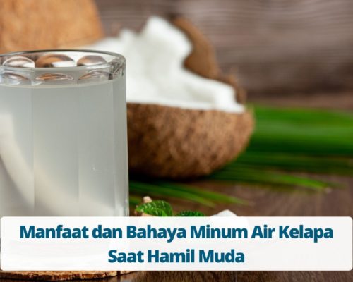 Manfaat dan Bahaya Minum Air Kelapa Saat Hamil Muda