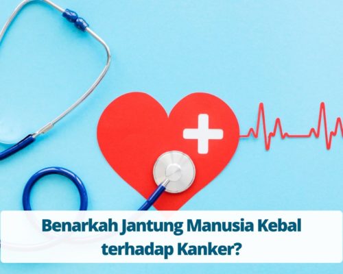 Benarkah Jantung Manusia Kebal terhadap Kanker