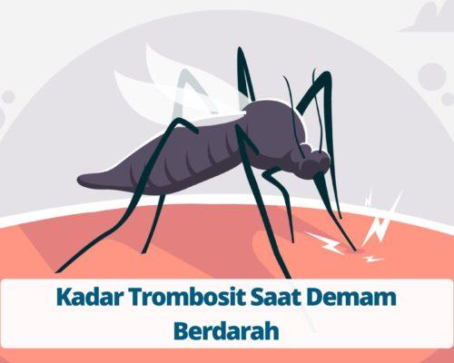 Kadar Trombosit Saat Demam Berdarah
