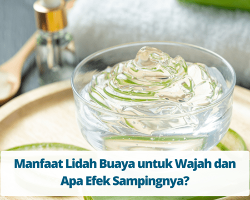 Manfaat Lidah Buaya untuk Wajah dan Apa Efek Sampingnya