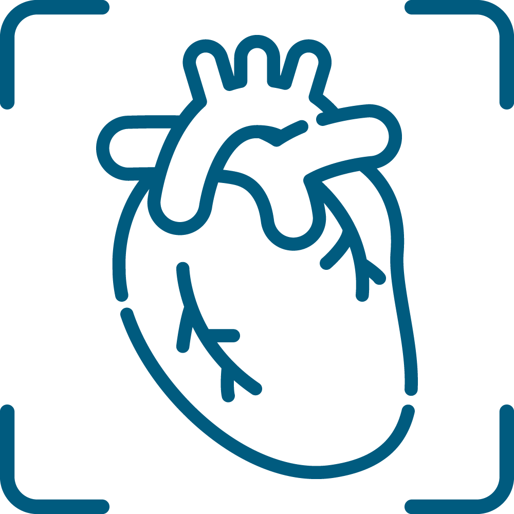 Healthy Heart Screening