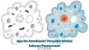 Apa Itu Amebiasis? Penyakit Infeksi Saluran Pencernaan
