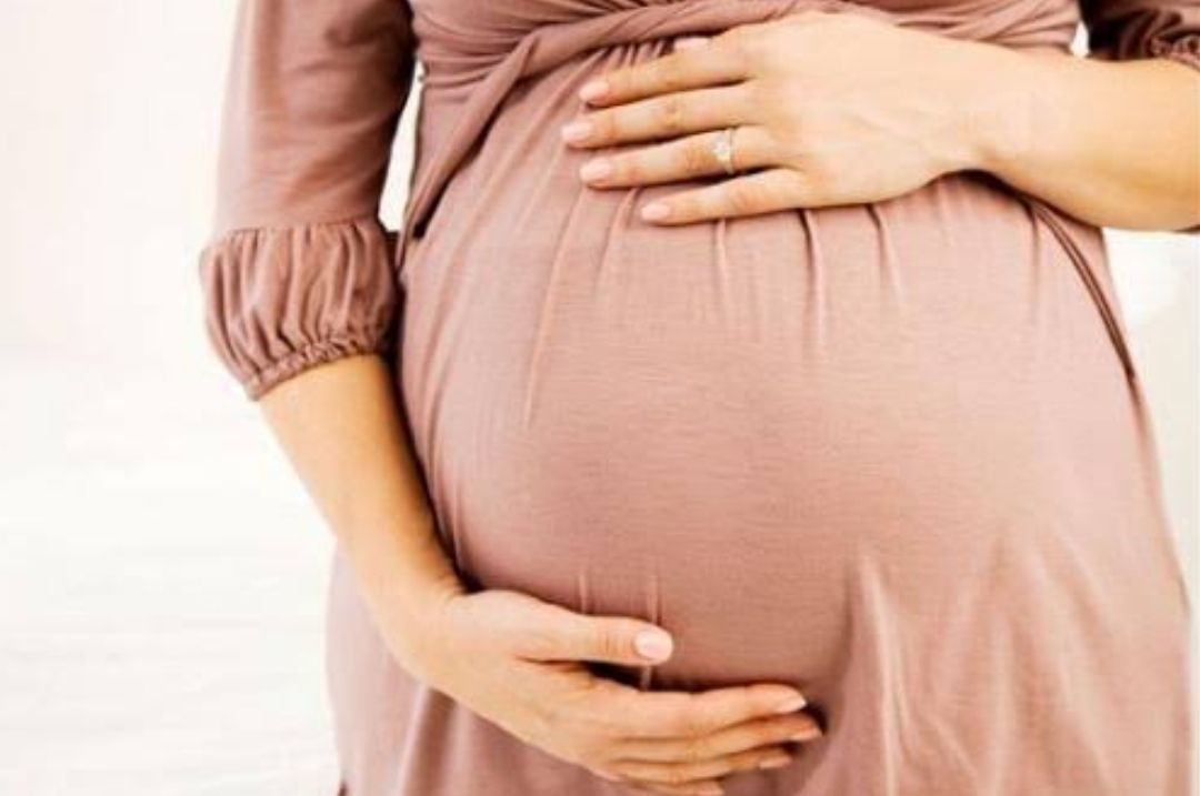 fertilisasi dan kehamilan