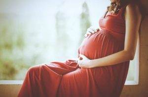fertilisasi dan kehamilan