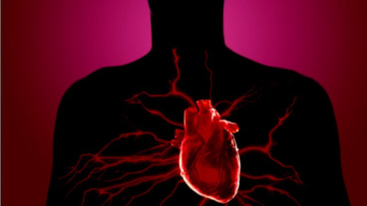 penyebab jantung bengkak