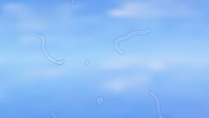Floaters