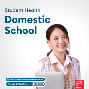 Domestic School