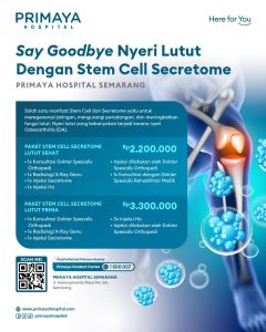 Stem Cell