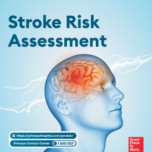 Stroke Risk Assesement