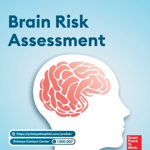 Brain Risk Assessment
