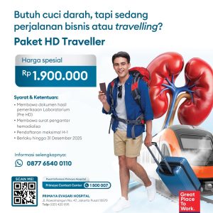 HD Traveler