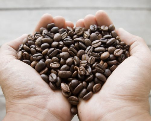 jenis kopi